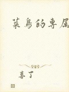 菜鸟的专属大神