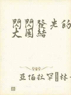 闪闪发光的小说大团结