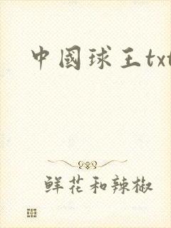 中国球王txt