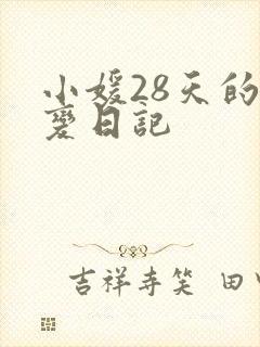 小媛28天的剧变日记