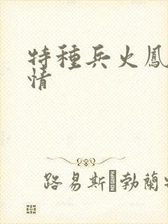 特种兵火凤凰剧情