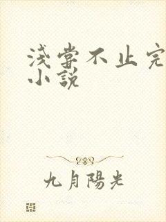 浅尝不止完整版小说