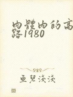 肉体内的高速公路1980