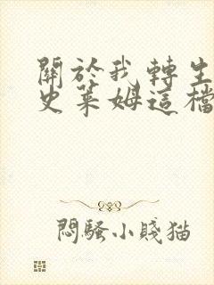 关于我转生变成史莱姆这档事小说