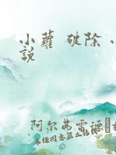 小萝 破除 小说