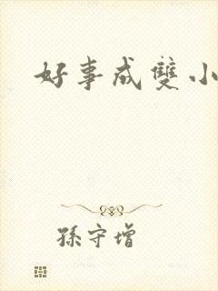 好事成双小说