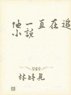 他一直在追初恋小说