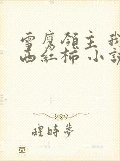 雪鹰领主 我吃西红柿 小说
