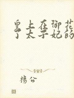 皇上在御花园c了太子妃的网剧