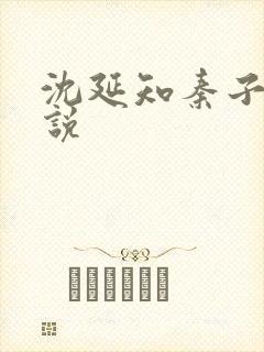 沈延知秦子卿小说