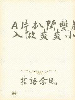 A片扒开双腿进入做爽爽小说