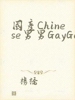 国产Chinese男男GayGayAPP