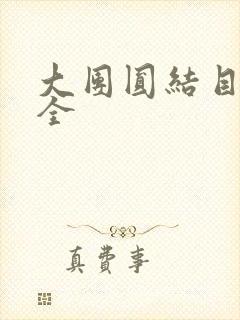 大团圆结目录大全