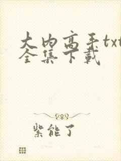 大内高手txt全集下载