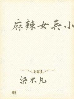 麻辣女兵小说版