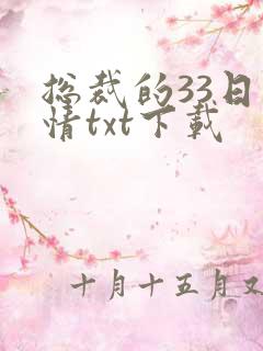 总裁的33日索情txt下载