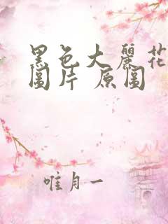 黑色大丽花真实图片 原图