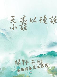 天亮以后说分手小说