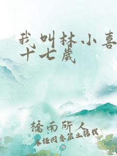 我叫林小喜今年十七岁