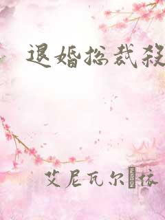 退婚总裁杀手妻