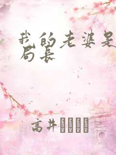 我的老婆是警察局长