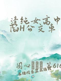 清纯女高中生沦陷H公交车