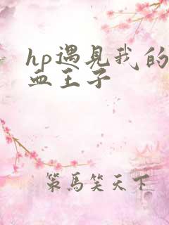 hp遇见我的混血王子