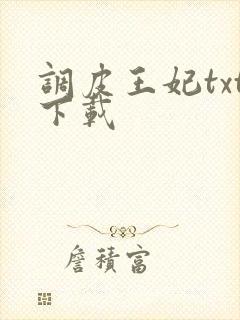 调皮王妃txt下载