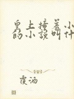 皇上撞着小公主的小说叫什么