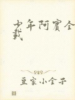 少年阿宾全集下载