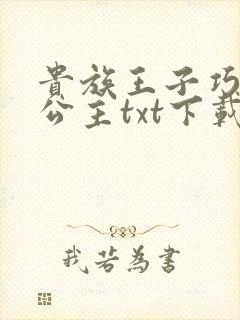 贵族王子巧遇穷公主txt下载