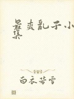 最爽乱子小说合集