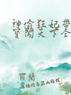 神偷狂妃带着宝宝闯天下全文免费阅读