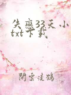 失恋33天小说txt下载