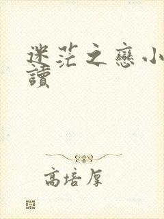 迷茫之恋小说阅读