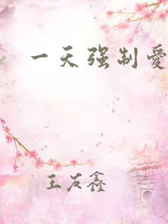 一天强制爱