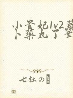 小贵妃1v2萝卜药丸了笔趣阁