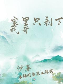 家里只剩下我和我哥