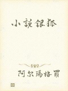小说银狐
