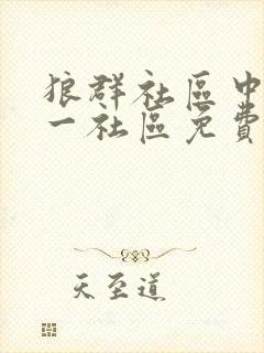 狼群社区中文第一社区免费