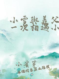 小雪与义父的第一次相遇小说