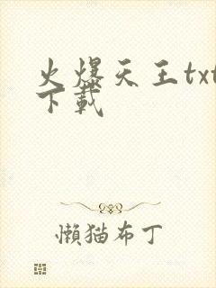 火爆天王txt下载