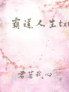霸道人生txt