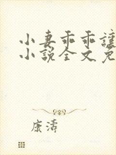 小妻乖乖让我宠小说全文免费阅读