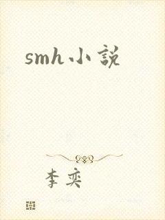 smh小说