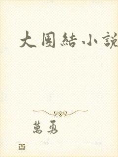 大团结小说全文