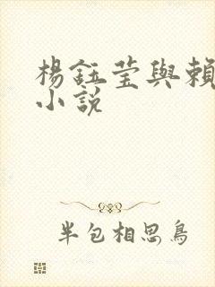 杨钰莹与赖昌星小说