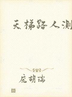 天梯路人测试器