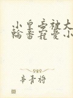 小皇帝被大臣们轮番宠爱小说