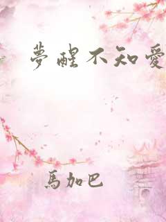 梦醒不知爱欢凉